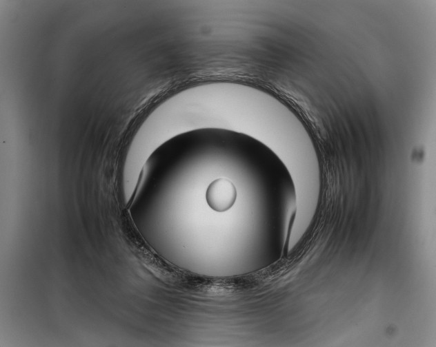 X0000099410308200805301351