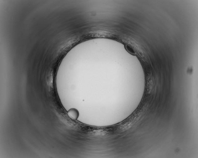 X0000099410310200805301351