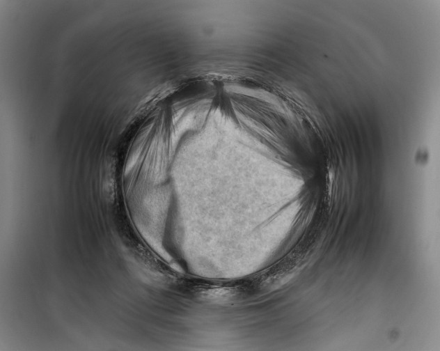 X0000099410312200805301351