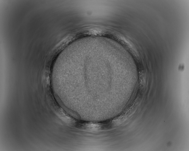 X0000099410313200805301351