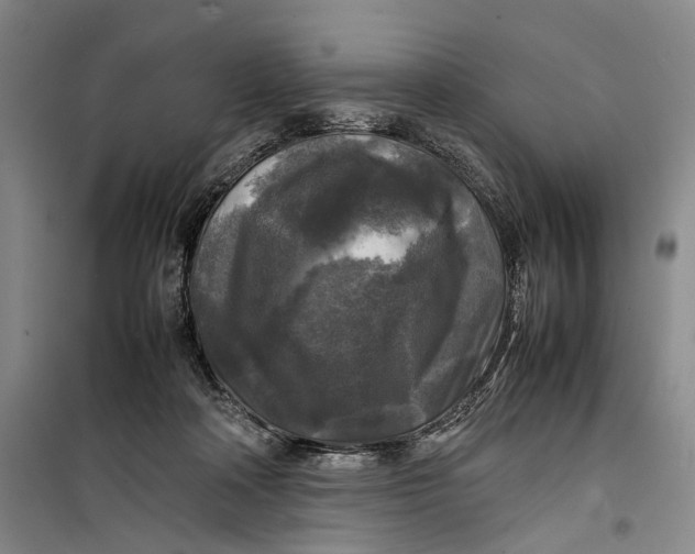 X0000099410314200805301351