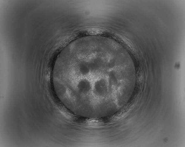 X0000099410315200805301351