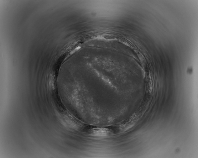 X0000099410316200805301351