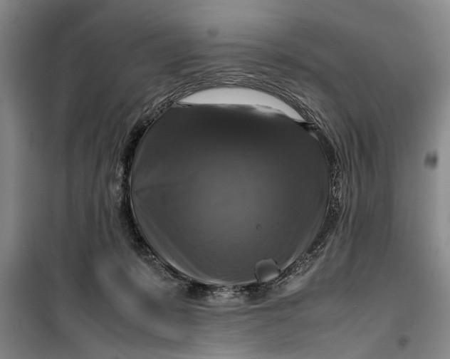 X0000099410319200805301351