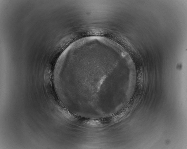 X0000099410322200805301351