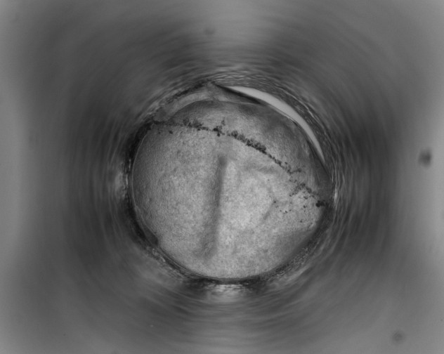 X0000099410324200805301351