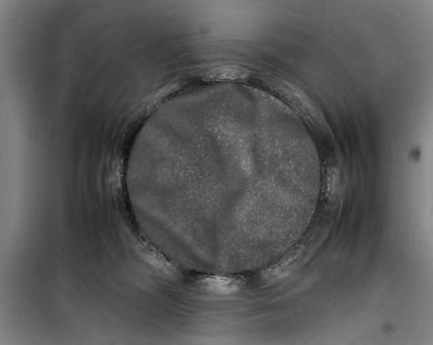 X0000099410326200805301351