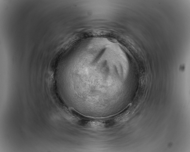 X0000099410327200805301351