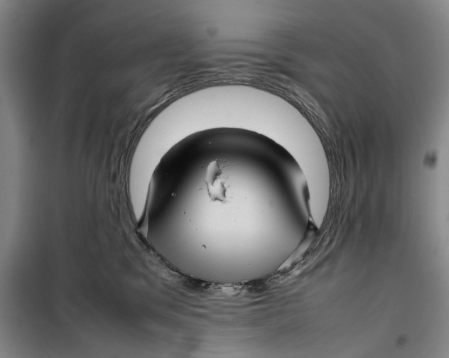 X0000099410329200805301351