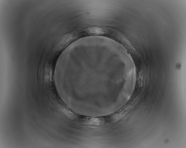 X0000099410330200805301351