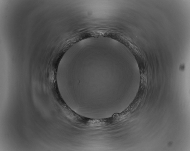 X0000099410331200805301351