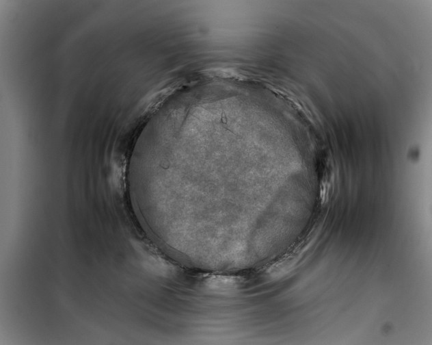 X0000099410332200805301351