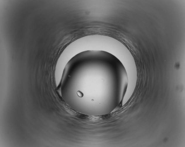 X0000099410333200805301351