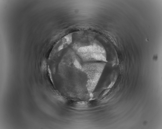 X0000099410335200805301351