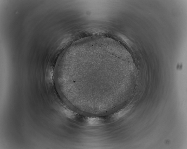 X0000099410336200805301351