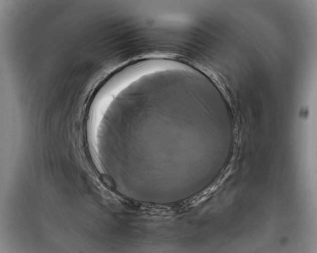 X0000099410337200805301350