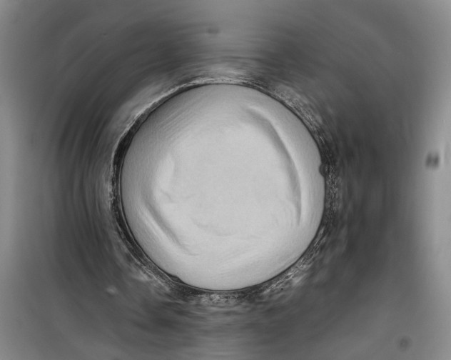 X0000099410338200805301350