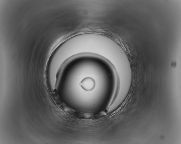 X0000099410340200805301350