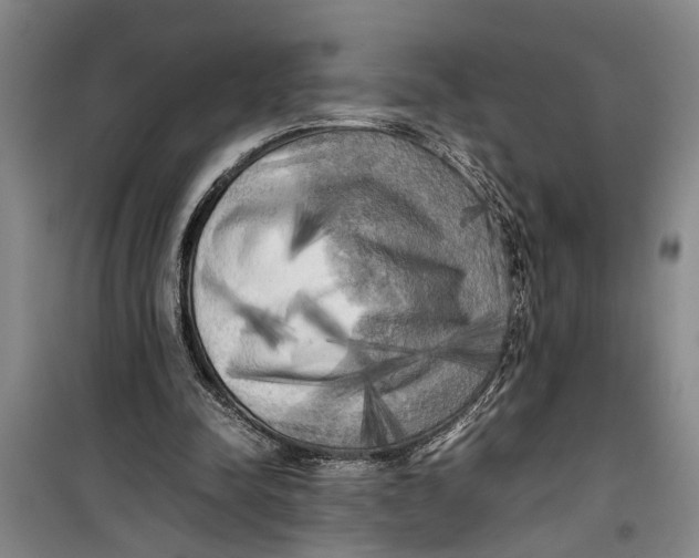 X0000099410342200805301350