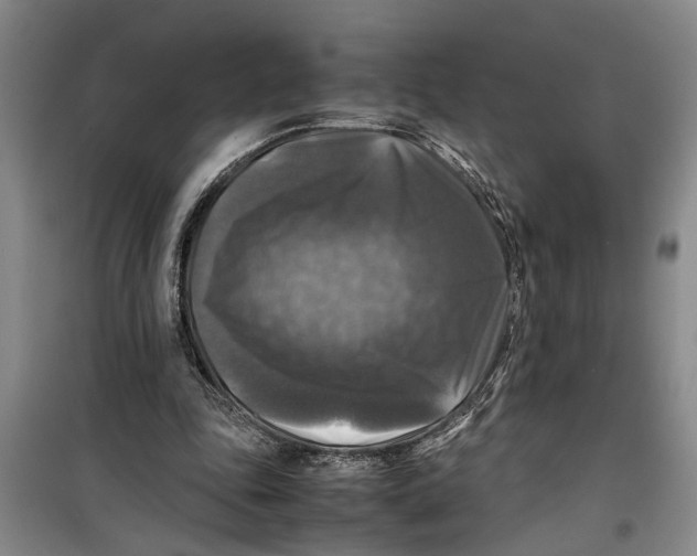 X0000099410343200805301350