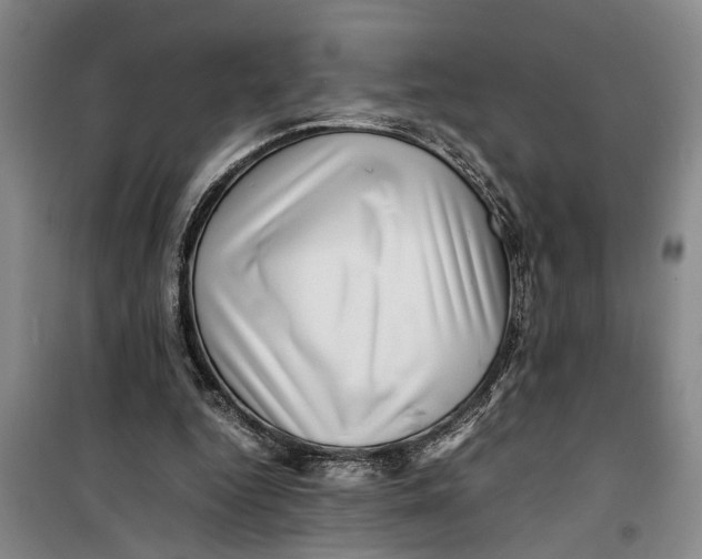 X0000099410344200805301350