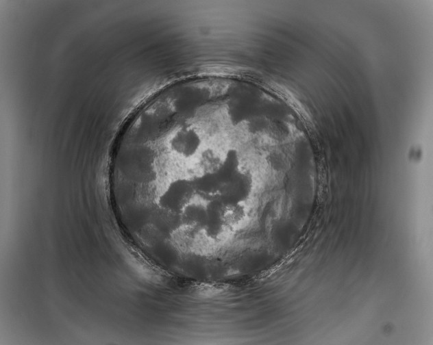 X0000099410346200805301350