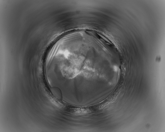 X0000099410347200805301350