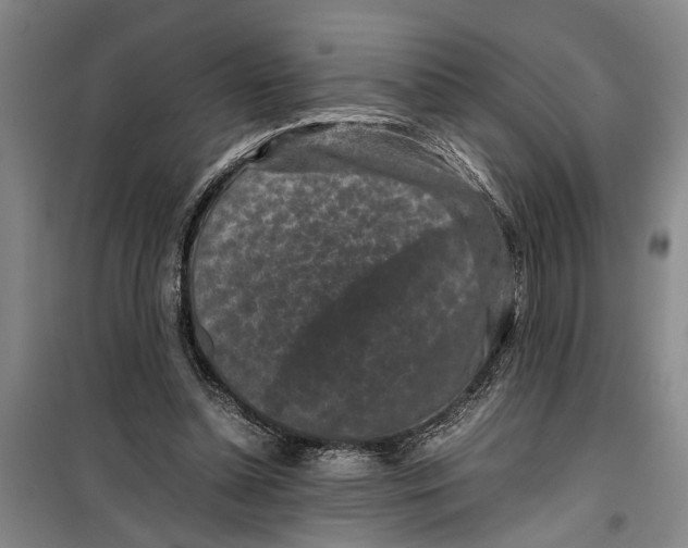 X0000099410348200805301350