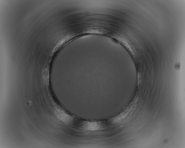 X0000099410349200805301350