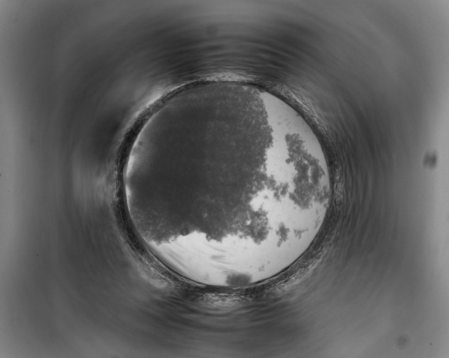 X0000099410351200805301350