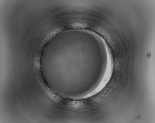 X0000099410353200805301350