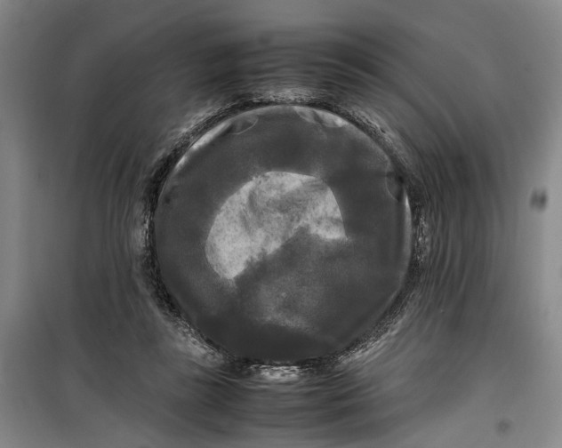 X0000099410355200805301350