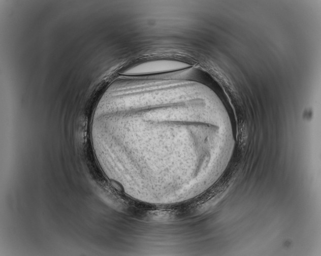 X0000099410356200805301350