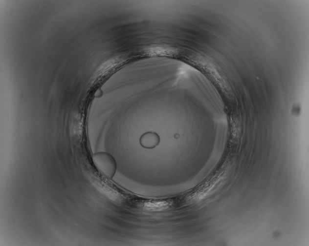 X0000099410357200805301350