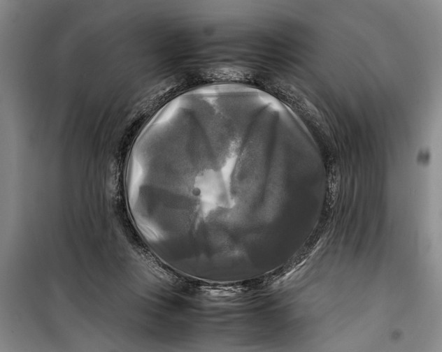 X0000099410359200805301350