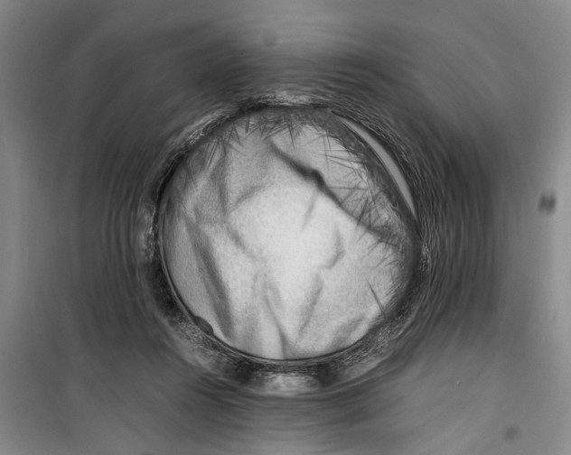 X0000099410360200805301350