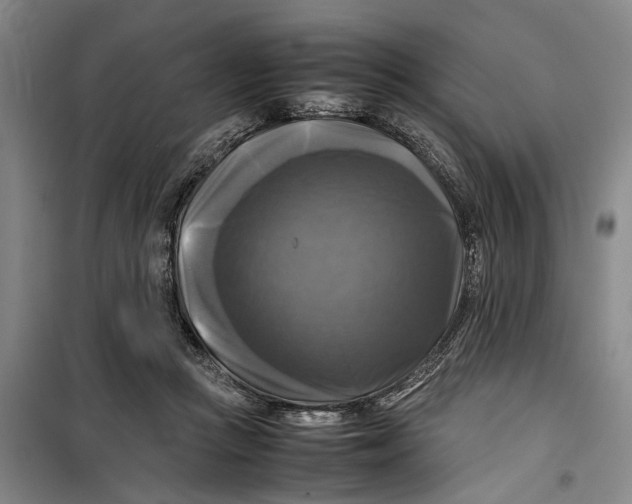 X0000099410361200805301351