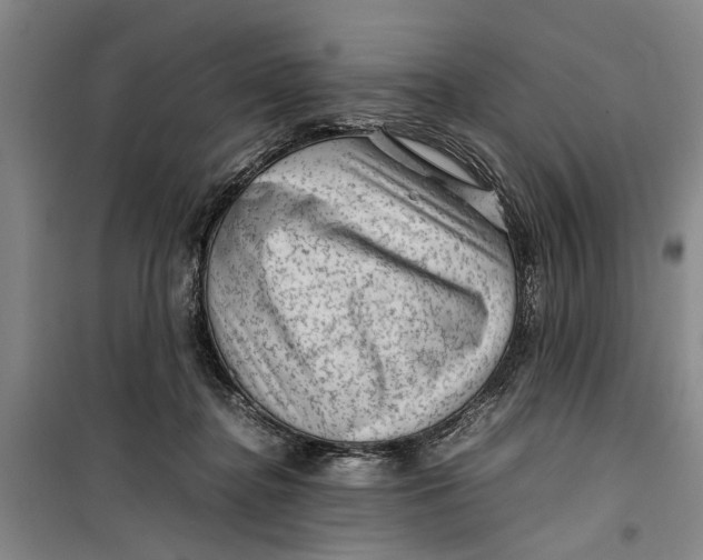 X0000099410364200805301351