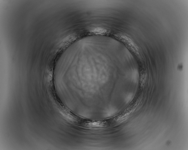 X0000099410365200805301351