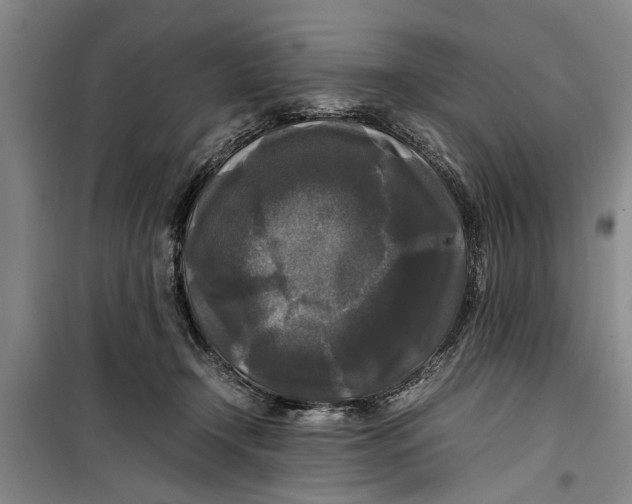 X0000099410366200805301351