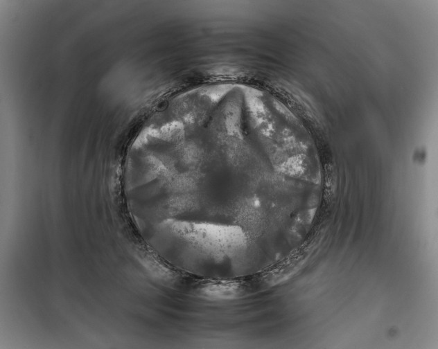 X0000099410369200805301351