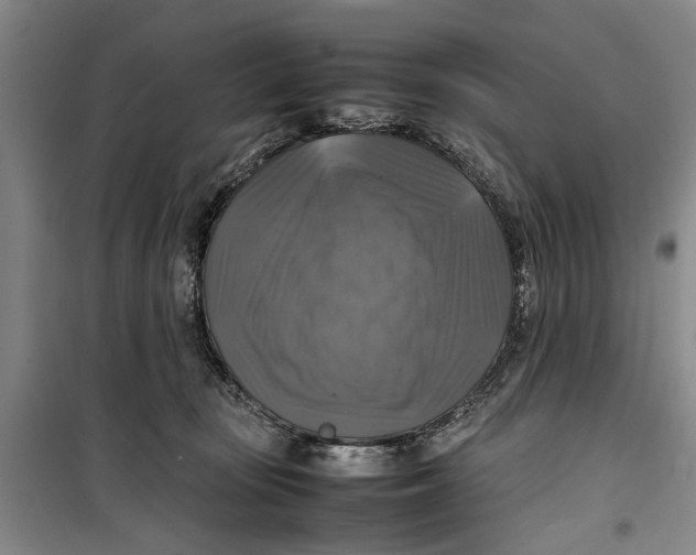 X0000099410371200805301351