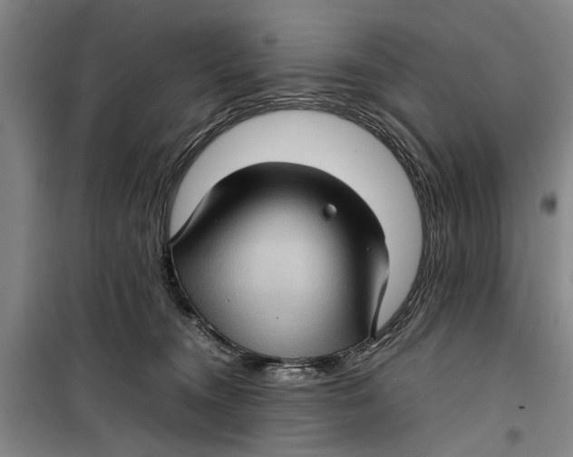 X0000099410372200805301351