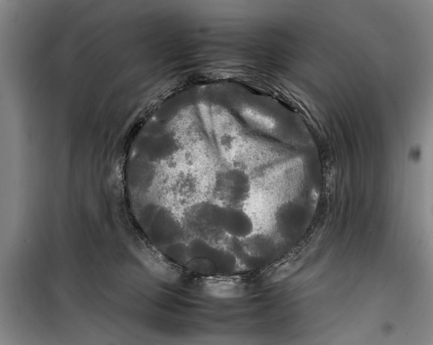 X0000099410373200805301351