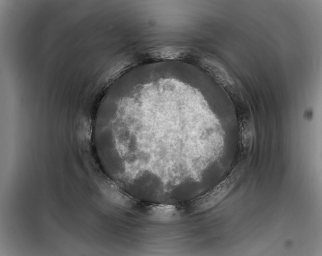 X0000099410374200805301351