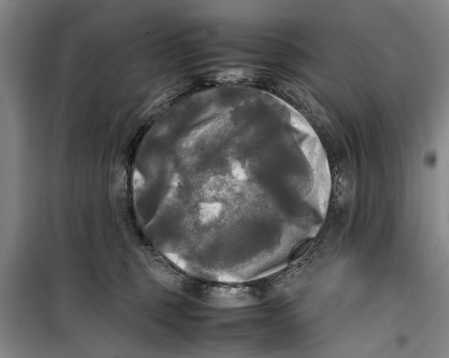 X0000099410375200805301351