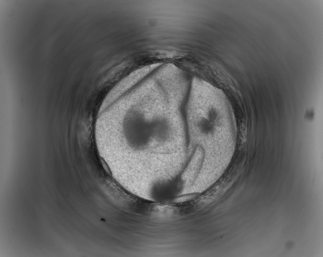 X0000099410376200805301351