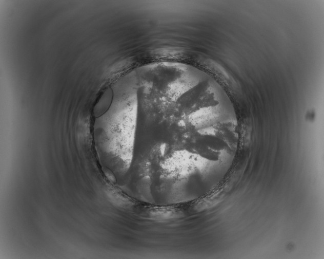 X0000099410377200805301351