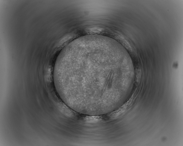 X0000099410378200805301351