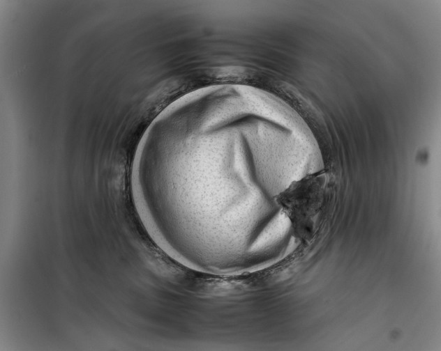 X0000099410379200805301351